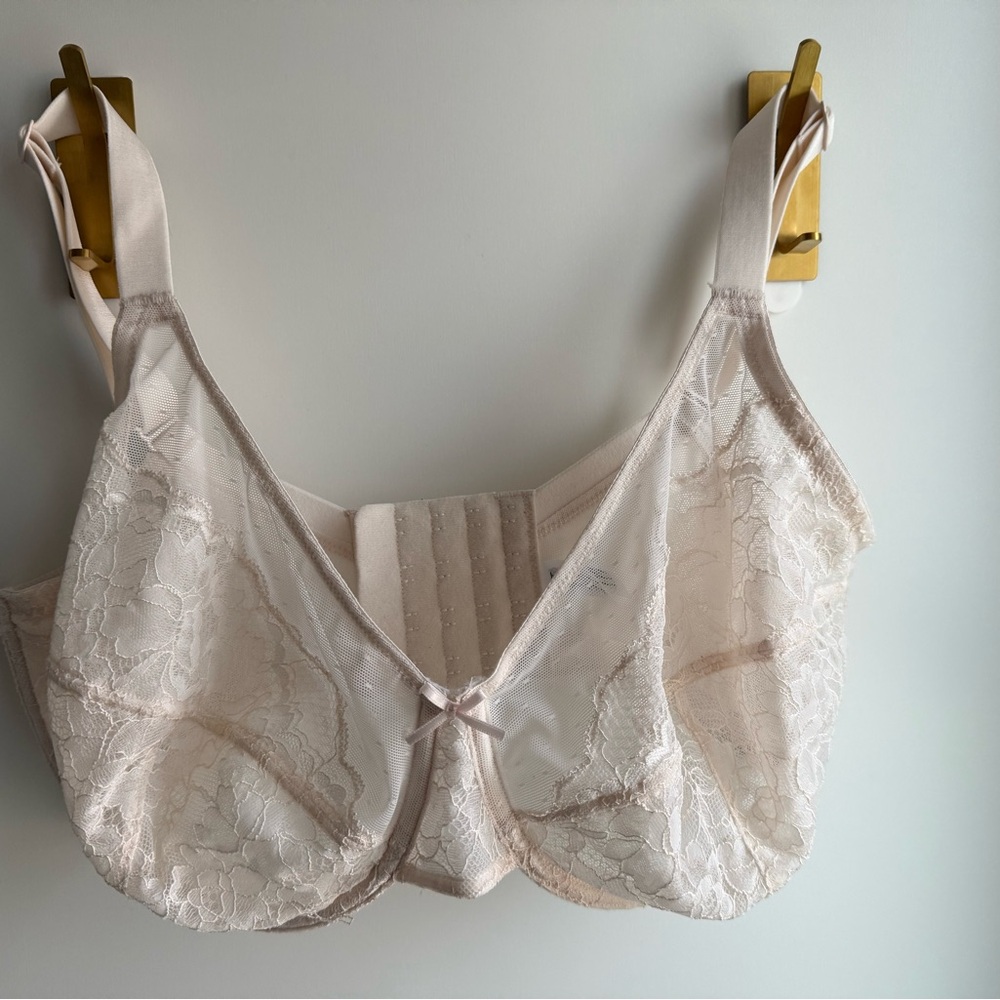 HSIA Enchante Floral Dusty Peach Lace Bra 34H